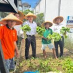 IMG-20250915-WA0034(1)